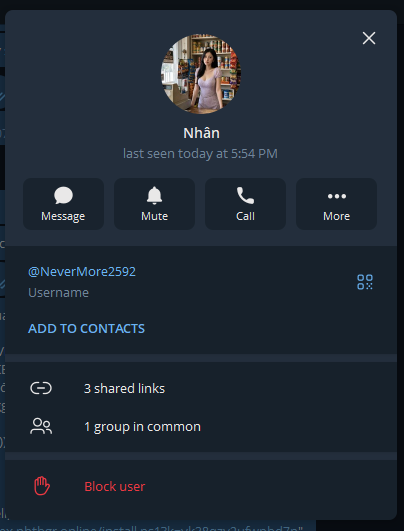 Hồ sơ Telegram người được cho là tác giả TUT, @NeverMore2592